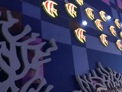 -泉城欧乐堡海洋极地世界