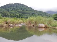 -海南霸王岭国家森林公园