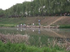 -洨河生态公园