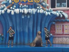 -华夏文旅海洋公园