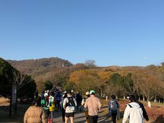 -南山风景名胜区