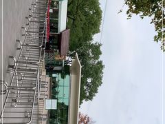 -上海滨江森林公园