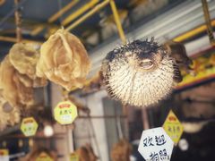 -大澳