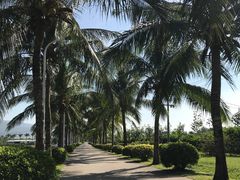 -亚龙湾国际玫瑰谷