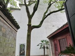 -天一阁博物院