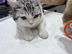 -派特宠物医院(圆融广场店)