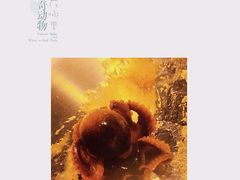 -炒码先生·韩餐炸鸡披萨(西塔店)