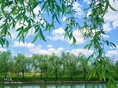 -广富林郊野公园