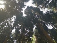 -山王坪喀斯特国家生态公园