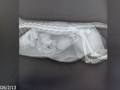 -达爱动物医院·犬猫分区·CT·复杂眼科(远洋山水分院)