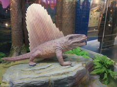 -国家自然博物馆