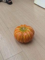 -小阿福儿童摄影(华中智谷店)