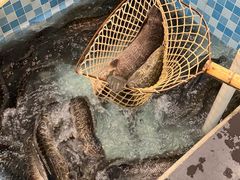 -九寨沟石锅鱼(沣峪口店)