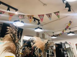 -净漪造型 PURE RIPPLE