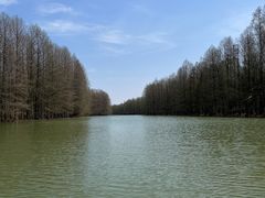 -上海海湾国家森林公园