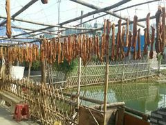 -阿鸟农庄(石壁店)