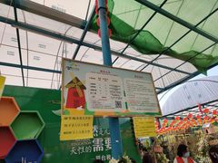 -麻涌飞鸭开心农场