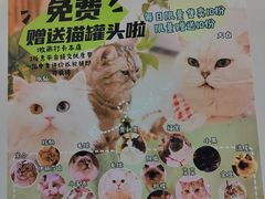 -共舞时光猫咖·狗咖(新街口店)