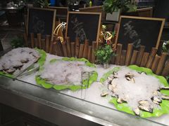 -欢乐牧场(T12店)