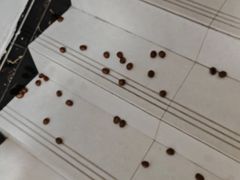 -阿男野栗王(金门路店)