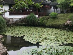 -上海醉白池公园