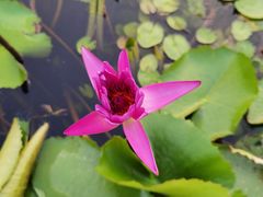 -迪茵湖田家舍生态农场