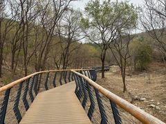 -白水寺森林公园