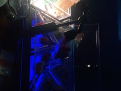 -PAPAYA CLUB 酒吧(深圳旗舰店)