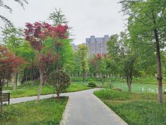 -洋湖国家湿地公园