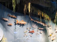 -中国湿地博物馆