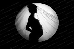 -iplus爱家高端孕妇摄影