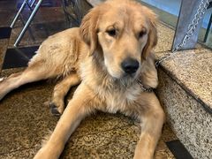 -回头烧烤(悦荟购物中心店)