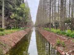 -东平国家森林公园