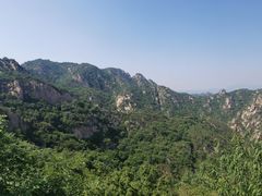 -大岭沟猕猴桃谷风景区