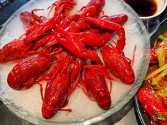 冰镇小龙虾-红盔甲·小龙虾(人民广场店)