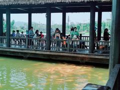 -枫香湖儿童公园