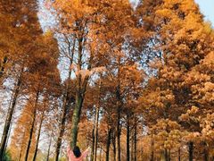 -贵阳市花溪国家城市湿地公园