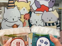 -有喵·猫咖·狗咖·40+猫狗有小奶狗(岗厦店)
