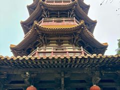 -天下玉苑