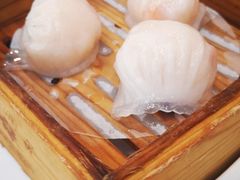 金鼎鲜味虾饺皇-广州酒家(昌岗地铁站店)