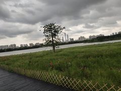 -海珠湖公园