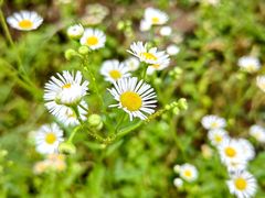 -渭河城市绿地运动公园