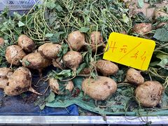 -五里多农博广场