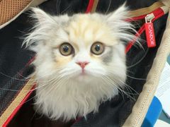 -美联众合动物医院·24h京西诊疗中心