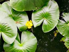 -苏堤停车场