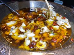 -雲蜀龙阁·金牌水煮鱼(方庄店)