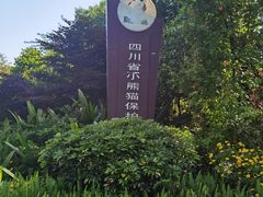 -都江堰中华大熊猫苑