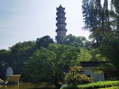 -江心屿景区