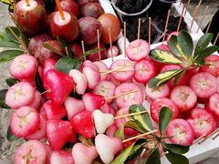 -演武大桥观景平台