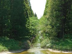 -黄海国家森林公园